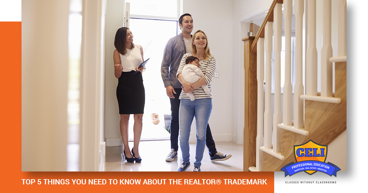 Top-5-Things-You-Need-to-Know-About-the-REALTOR-Trademark-5c5dacc401601