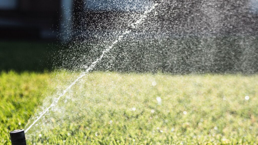 sprinkler on yard