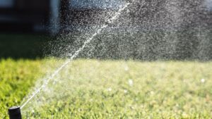 sprinkler on yard