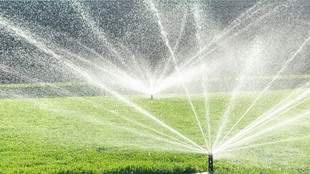 Texas irrigation