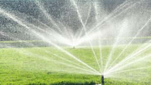 Texas irrigation