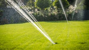 Sprinkles in lawn