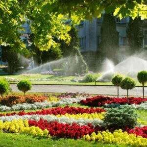 garden of colorful plants with sprinklers spraying water